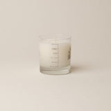 BURN THE BAGGAGE CANDLE (feat. KELSEA BALLERINI) Candle Tennessee Iris / Orris / Sandalwood / Breaking Patterns 
