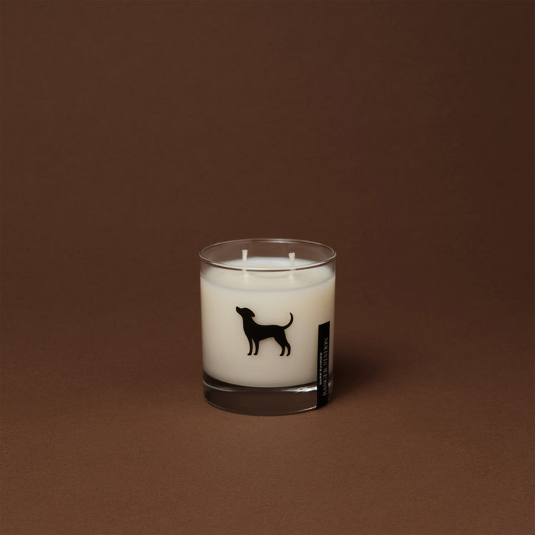 Bark Ranger Collection