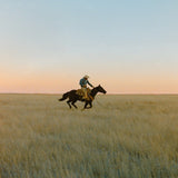 HIGH HORSE CANDLE Candle citrus / patchouli / cedarwood / musk 